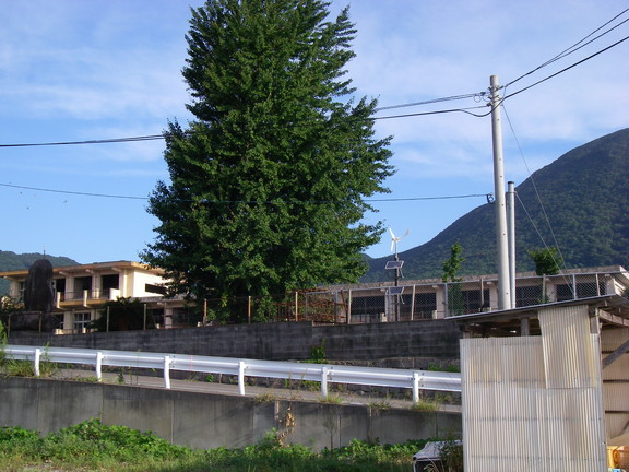 長崎 Solaの街 をめざして 六日目